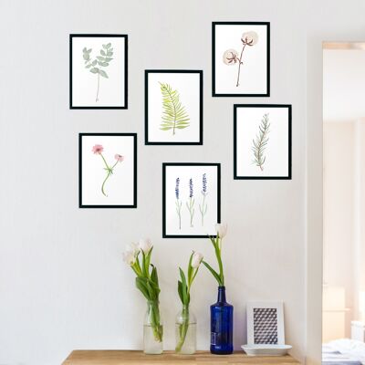 Botanical Prints Set, A5, 6 cards, unframed, Fedrigoni Tintoretto Gesso paper made of FSC® certified, enviroment-friendly ECF pulp