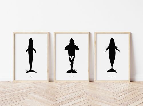 Whale art print set A4