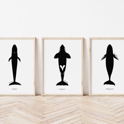 Set di stampe d'arte balena A4