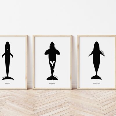 Set di stampe d'arte balena A3