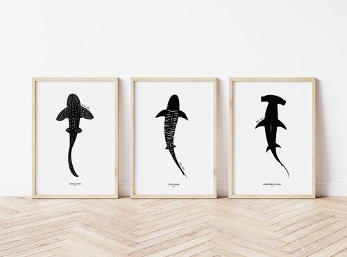 Sharks art print set A4