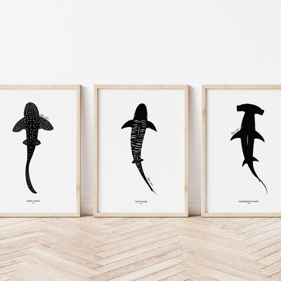 Set di stampe artistiche di squali A4