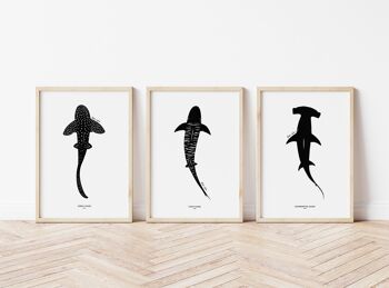 Requins art print set A3 1