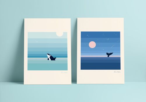 Orca art print set