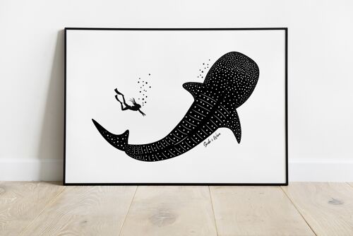 Whale shark art print A4