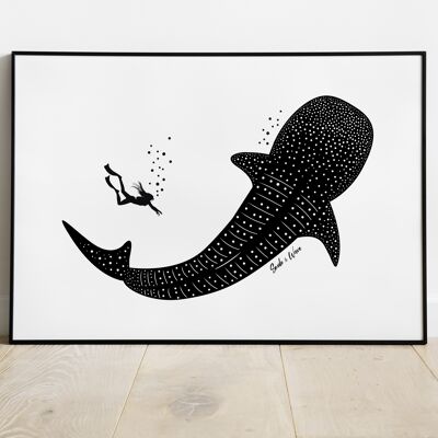 Whale shark art print A4