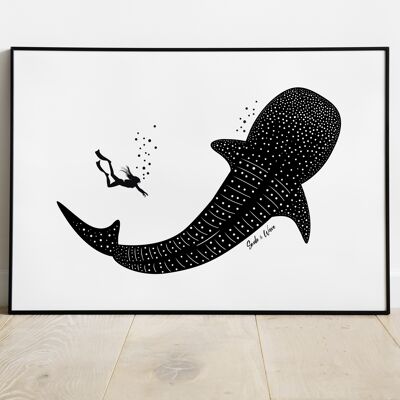 Whale shark art print A3