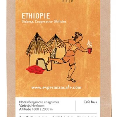 Äthiopische Sidama Shilicho Körner