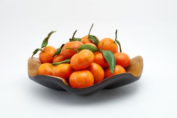 Bol en bois - coupe à fruits - saladier - modèle Feuille de Lotus - choco - S (Øxh) 25cm x 7,5cm 4