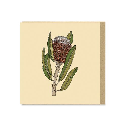 Banksia Flower 130mm Square Greeting Card