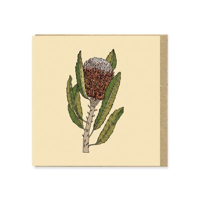 Banksia Flower Tarjeta de felicitación cuadrada de 130 mm