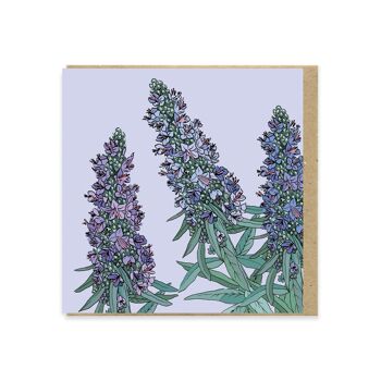 Carte de voeux carrée Echium 130mm 2