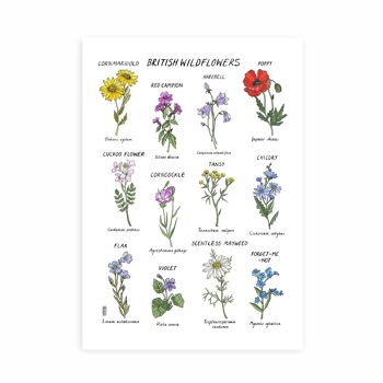 Fleurs sauvages britanniques A4 Impression artistique 6