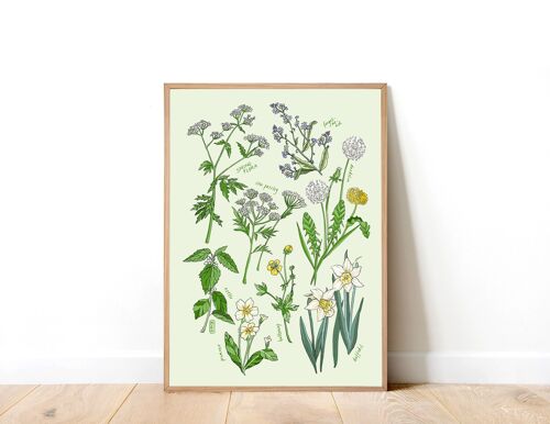 Spring Flowers A4 Art Print