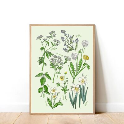 Spring Flowers A4 Art Print