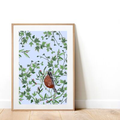 Robin In The Evergreen A4 Art Print
