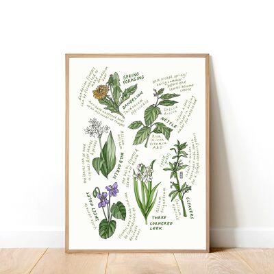 UK Spring Foraging A4 Art Print