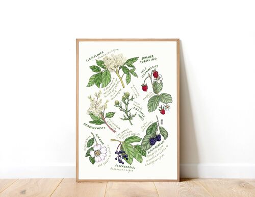 UK Summer Foraging A4 Art Print