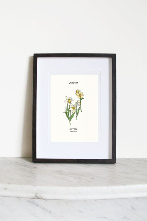Daffodil (March Birth Flower) A4 Art Print