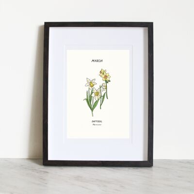 Jonquille (Fleur de naissance de mars) A4 Impression artistique