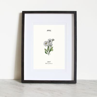 Daisy (April Birth Flower) A4 Art Print