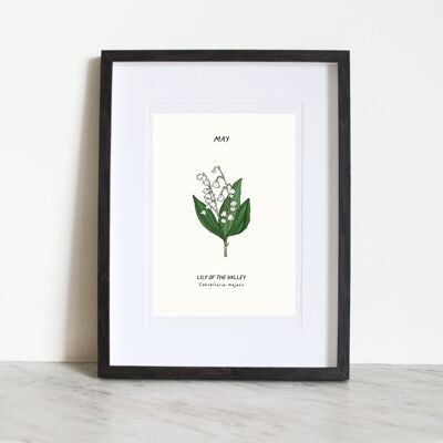 Lily Of The Valley (fleur de naissance de mai) Impression artistique A4