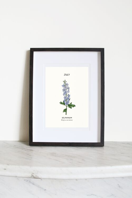 Delphinium (July Birth Flower) A4 Art Print