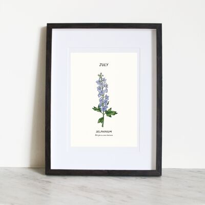 Lámina artística Delphinium (flor de nacimiento de julio) A4