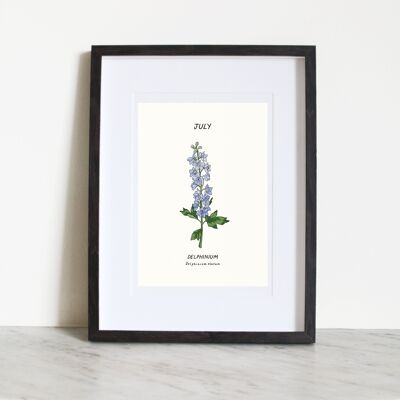 Delphinium (July Birth Flower) A4 Art Print