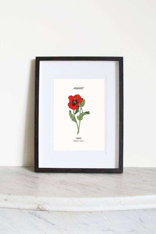 Poppy (August Birth Flower) A4 Art Print