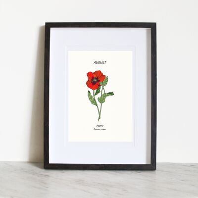 Poppy (August Birth Flower) A4 Art Print
