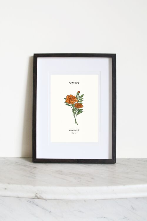 Marigold (October Birth Flower) A4 Art Print