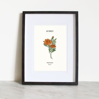 Marigold (flor de nacimiento de octubre) A4 Lámina artística