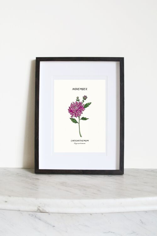 Chrysanthemum (Novemember Birth Flower) A4 Art Print