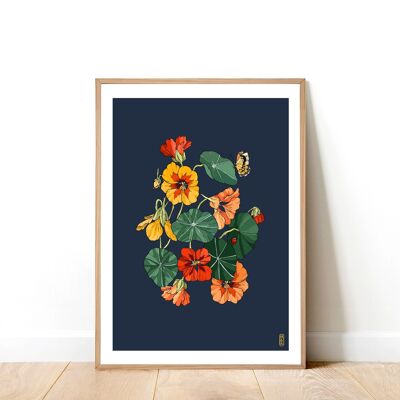 Nasturtium A4 Art Print