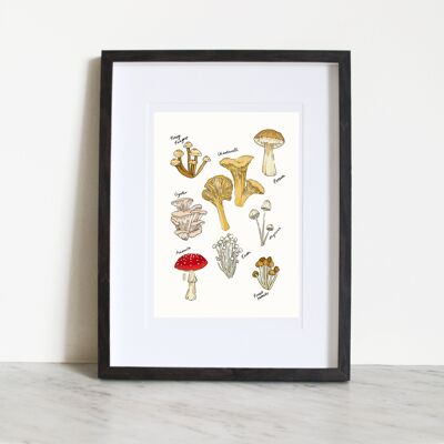 Fête des champignons A4 Impression artistique