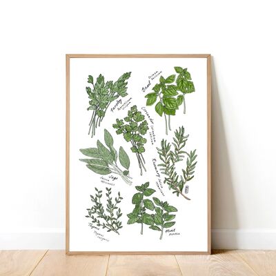 Stampa artistica A4 di erbe da cucina