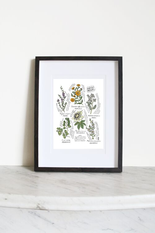 Six Useful Herbs A5 Art Print