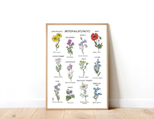 British Wildflowers A5 Art Print