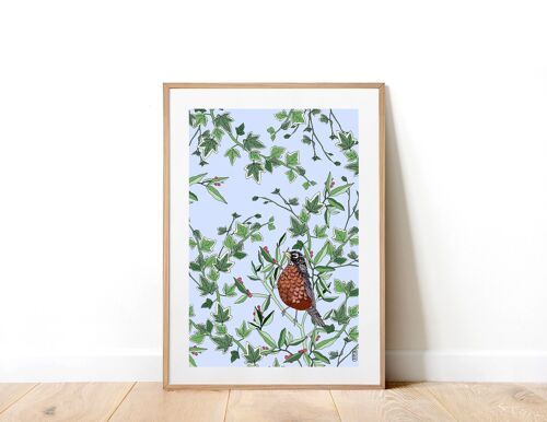 Robin In The Evergreen A5 Art Print