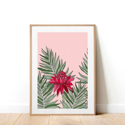 Torch Ginger A5 Art Print