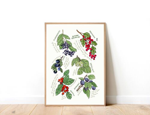 UK Autumn Foraging A5 Art Print