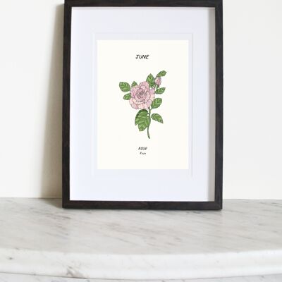 Rose (fiore della nascita di giugno) A5 Art Print