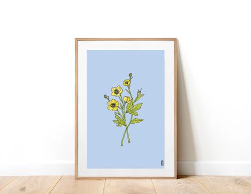 Buttercup A5 Art Print