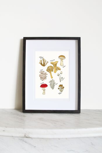 Fête des champignons A5 Impression artistique 3