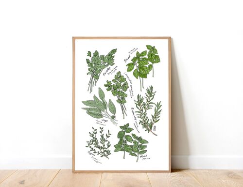 Kitchen Herbs A5 Art Print