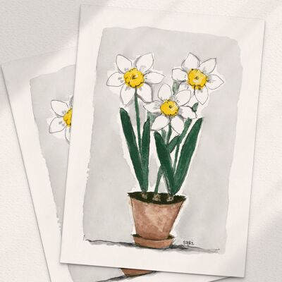Daffodils in a Pot - A6 Folded