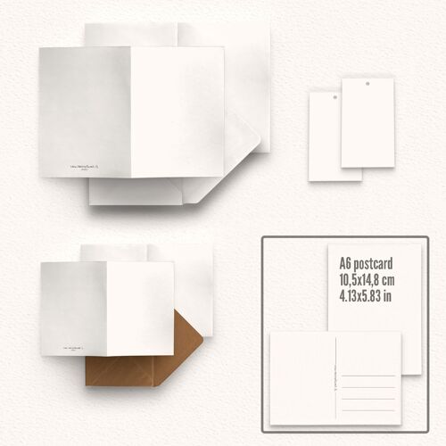 Light Grey House - Postcard