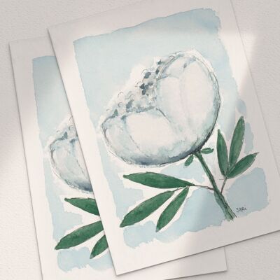 White Peony - A6 Folded