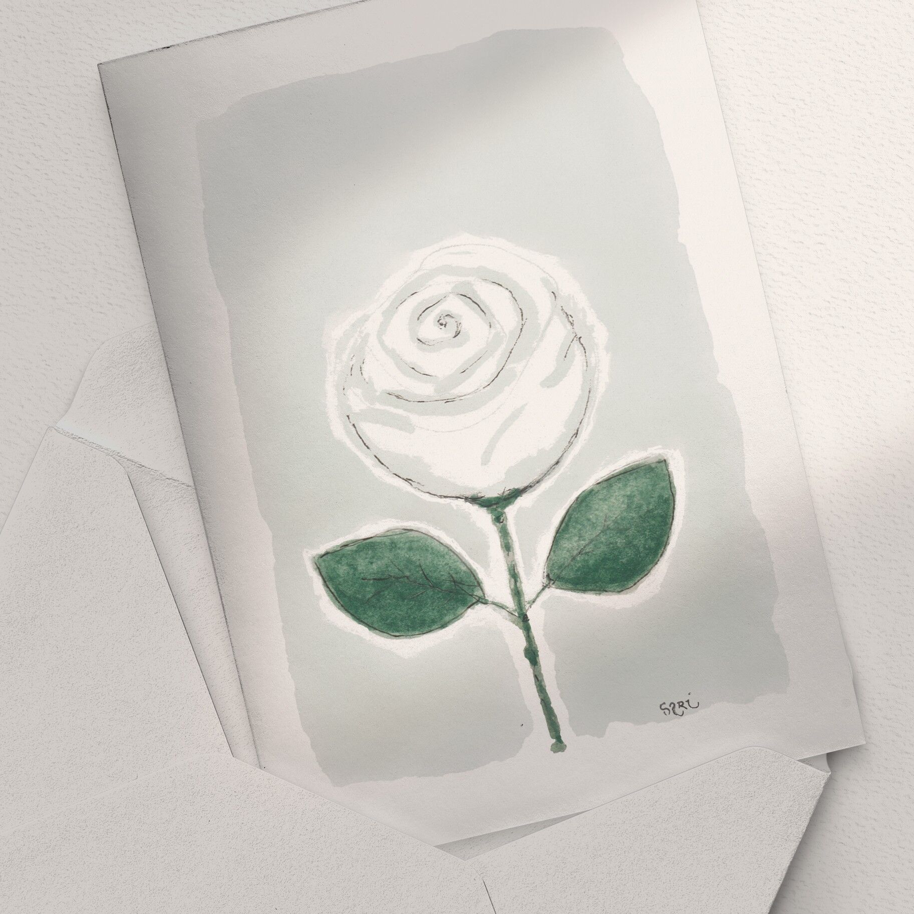 Rosa bianca - A6 piegata